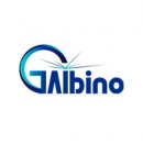 Galbino (Shanghai) Technology Co., Ltd