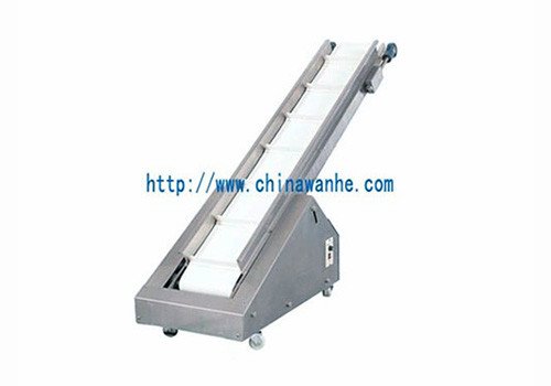 WH-D3 Finished Products Conveyer 