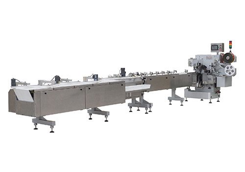 Horizontal High Speed Wrapping Machine For Confectionery Products (Pillow Pack) JH-S800X02 / D820X02