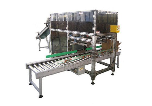 Double Row Automatic Case Packer ZT-LCS 