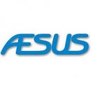 Aesus Packaging Systems Inc.