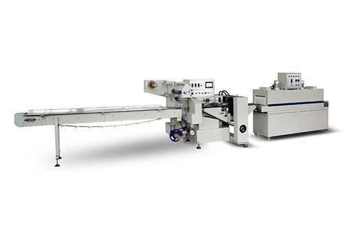 Fully Automatic High Speed Reciprocating Packaging Machine ZW-500 
