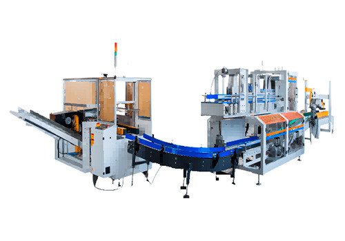 Fully Automatic One-Piece Drop Type Case Packing Machine RM-ZX15
