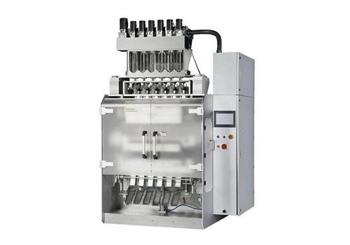 DLS06 Automatic Packing Machine 