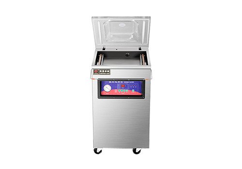 Automatic Portable Vacuum Packing Machine SS-500