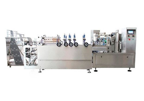 RD-210SZ Stand Up Pouch Food Packaging Machine